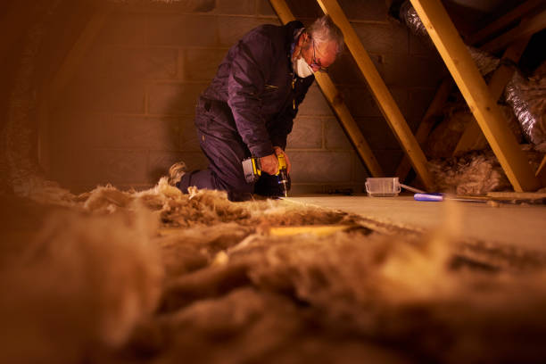Best Insulation Maintenance and Repair in Alexandria, IN